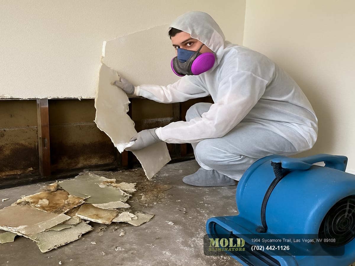 Technician inspecting the floor line and baseboard of a Las Vegas wall for hidden moisture and mold