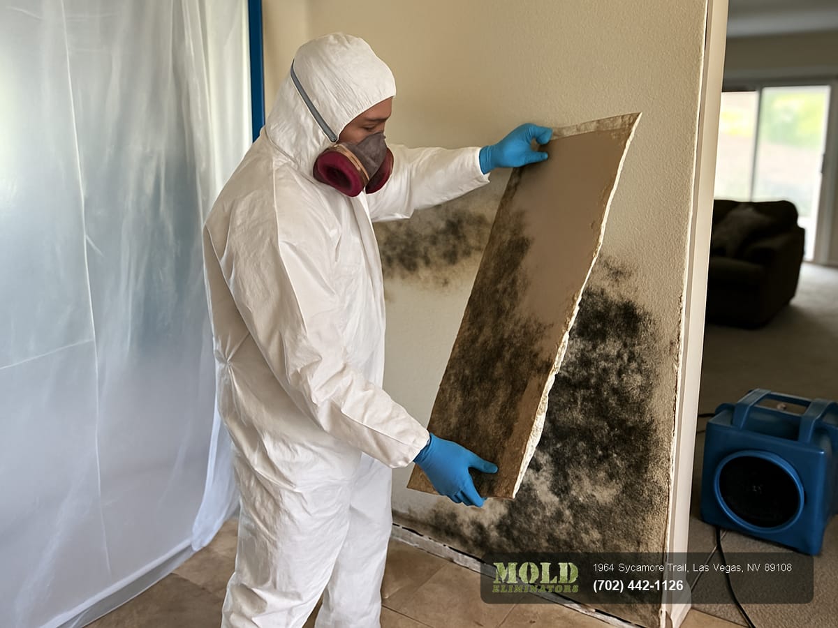 Mold Eliminators technician responding to a mold removal and water damage call at a Henderson, NV home