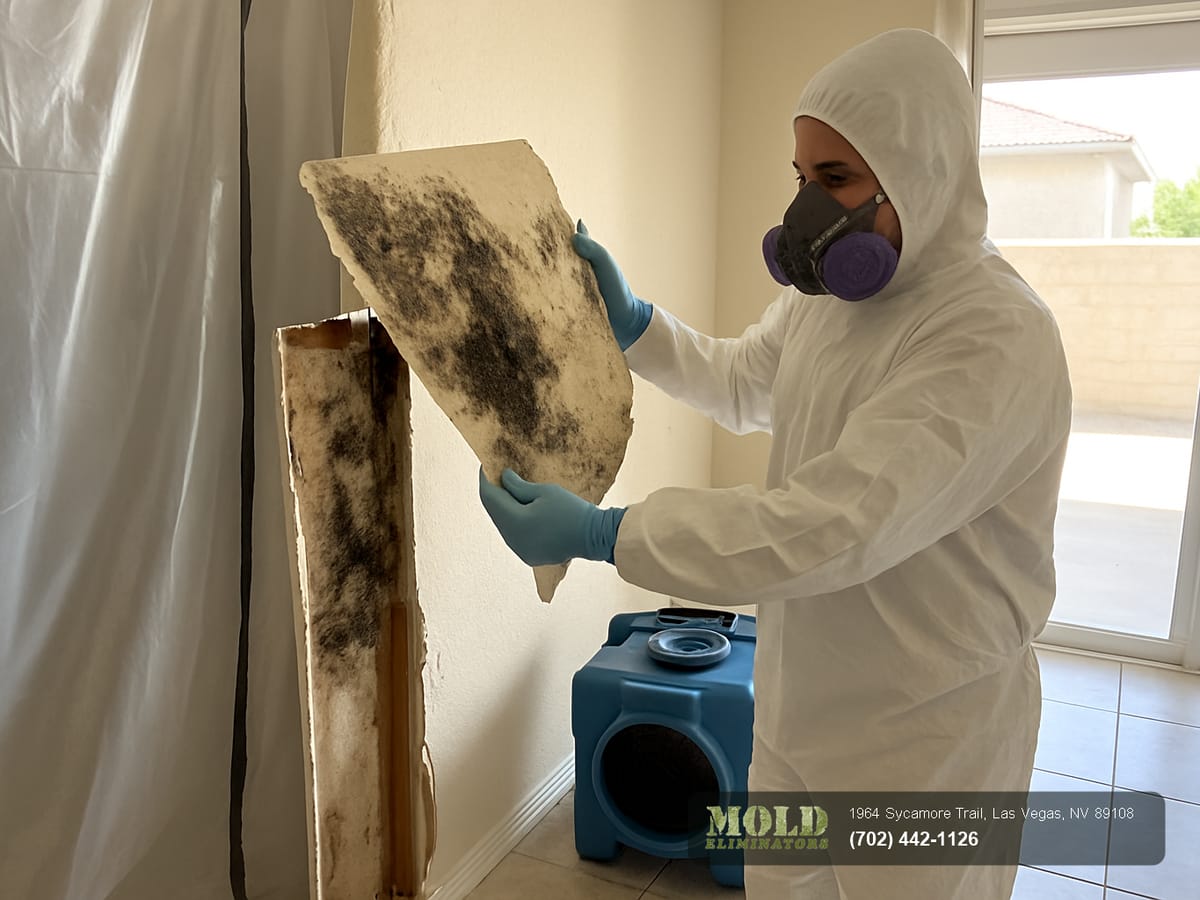 Mold Eliminators certified crew on a Henderson restoration call