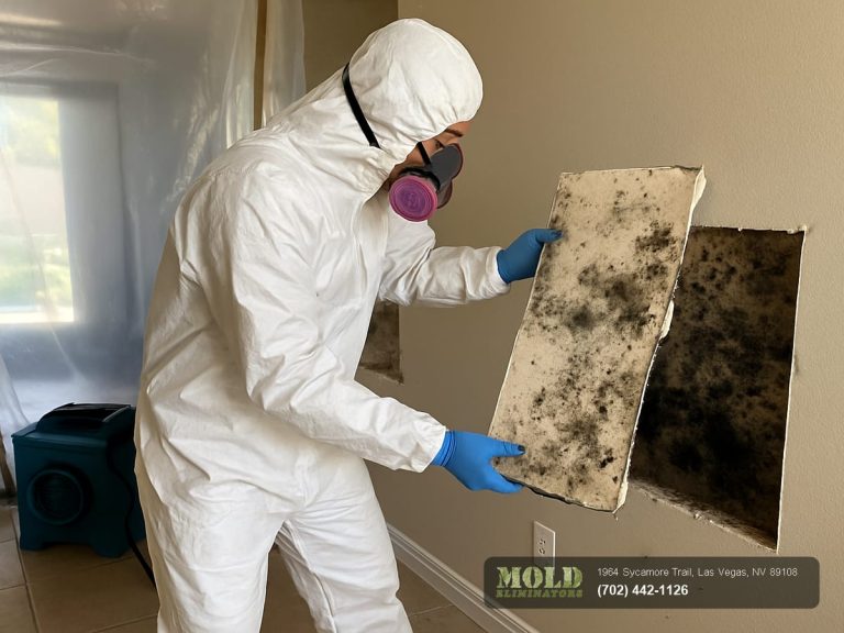 Mold Eliminators technicians restoring a Las Vegas property