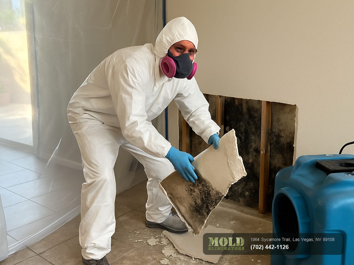 Mold Eliminators technician responding to a mold removal call in a North Las Vegas home