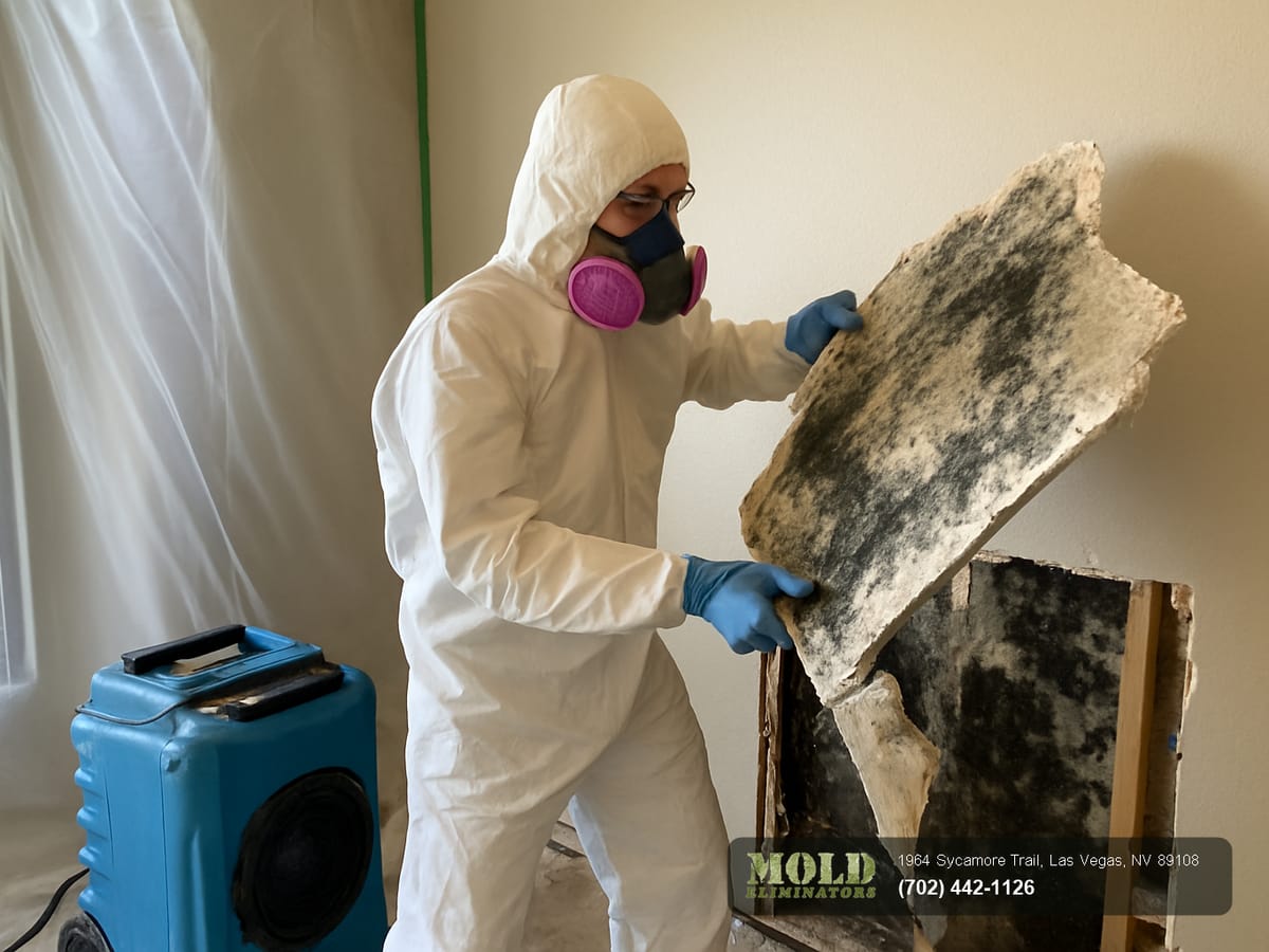 Mold Eliminators technician responding to a high-rise water damage emergency in Paradise, NV