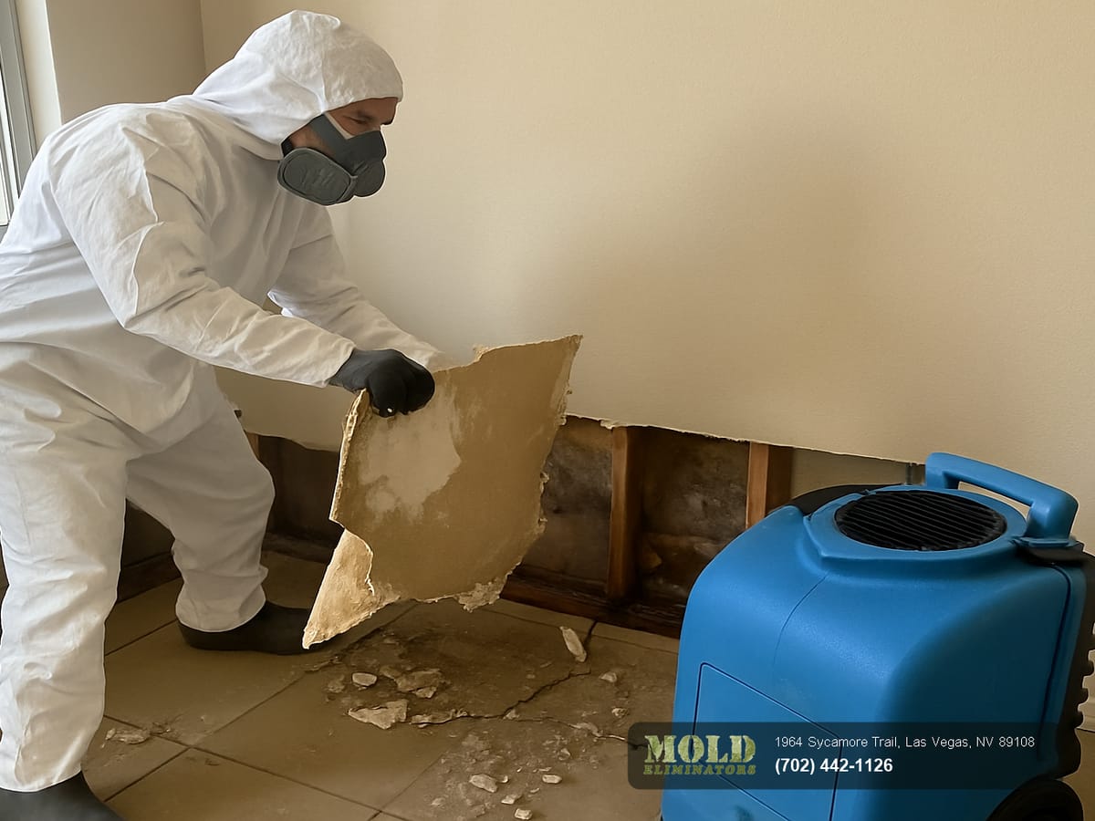 Mold Eliminators technician containing a sewage backup in a Henderson home